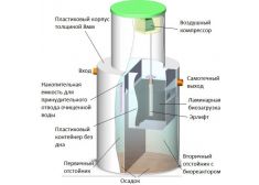 Панда Дана 0.6